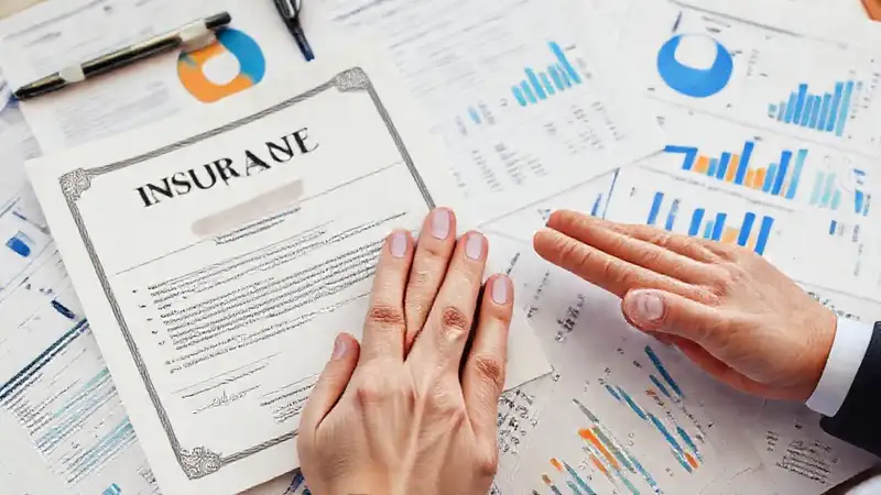 Certificado de seguro ofrece información clara y segura